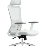 Ergonomska kancelarijska stolica UGD Silver Polare
