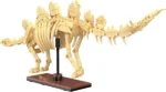 Kockice CaDa fosil Stegosaurus/297 delova - Slika 4